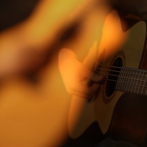 中国一级特黄麻豆
