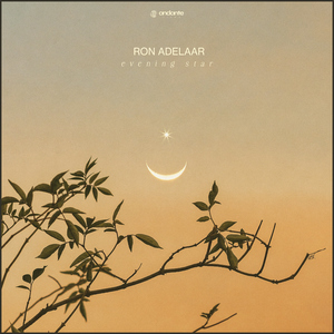 中国一级特黄麻豆
