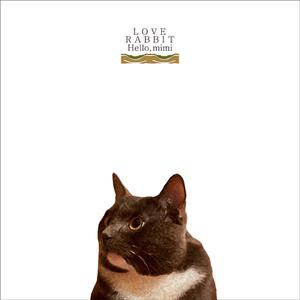 中国一级特黄麻豆
